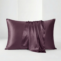 22MM Silk Pillowcase