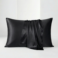 22MM Silk Pillowcase