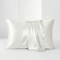 22MM Silk Pillowcase