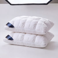 Lot de 2 Oreillers Hôtelier Premium